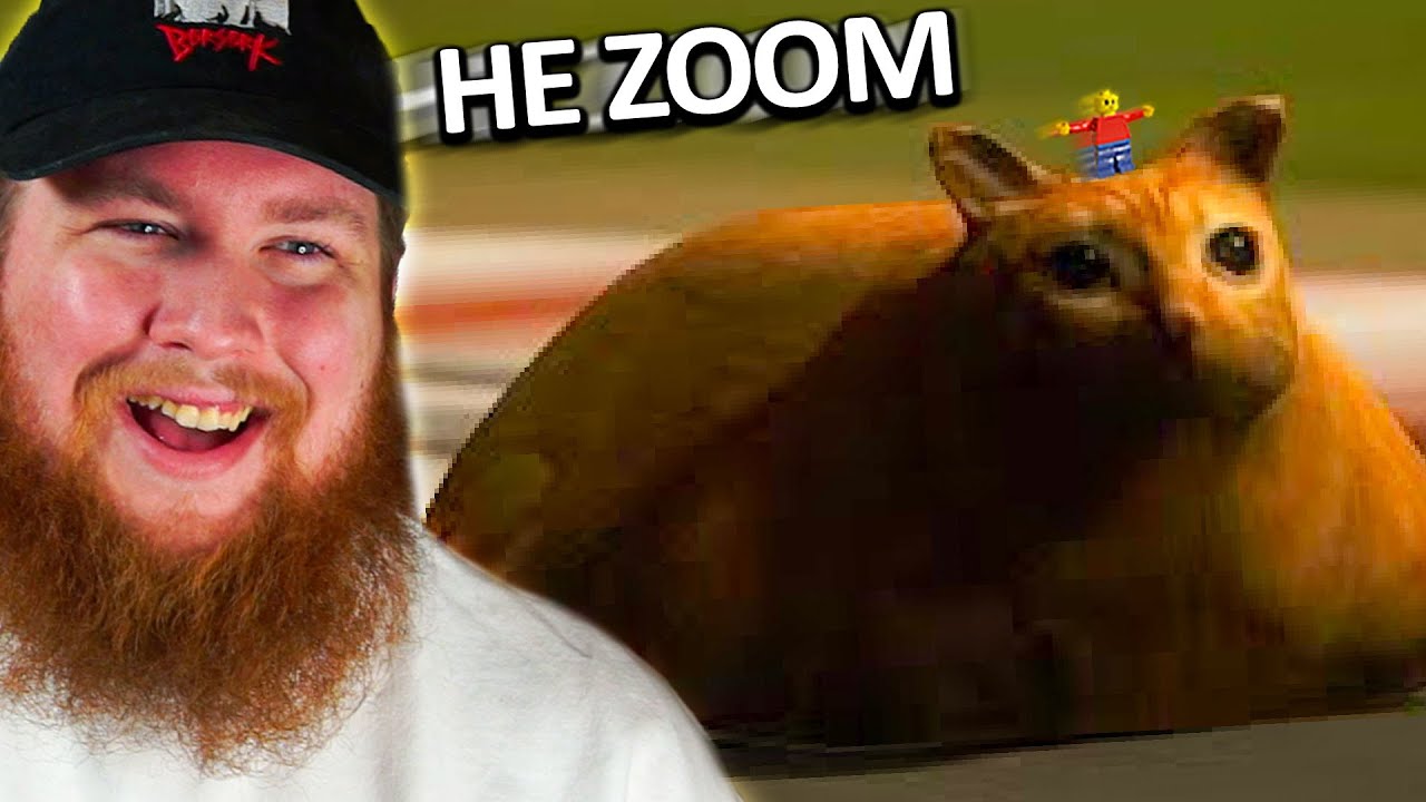 Memes that I cant stop LAUGHING AT
