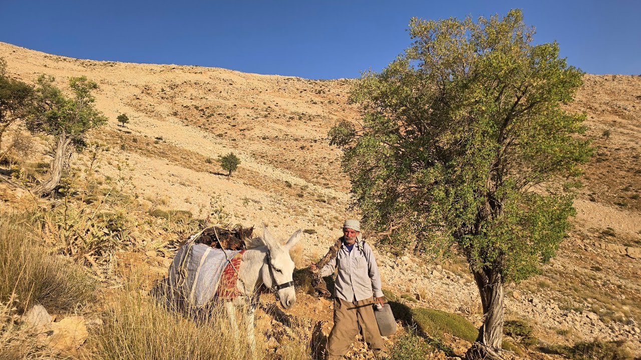 Mountain Adventure: How did Jahangir bring firewood with his donkey?