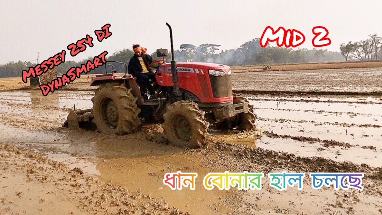 Messey 254 DynaSmart 4/4 working in tha mud   ধান বোনার হাল চলছে || কেমন হচ্ছে জানাবে #messey 
