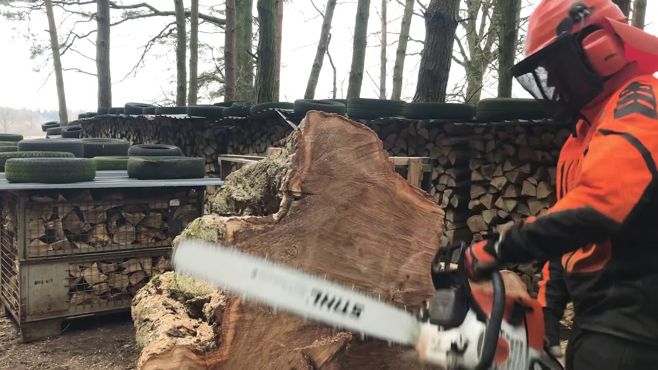 Stihl MS 361 25&ldquo; Bar
