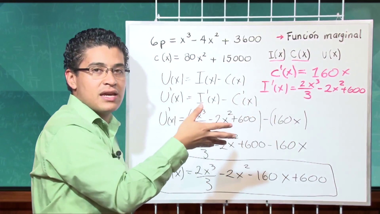 Aplicación de la derivada: funciones marginales (sesión 2)