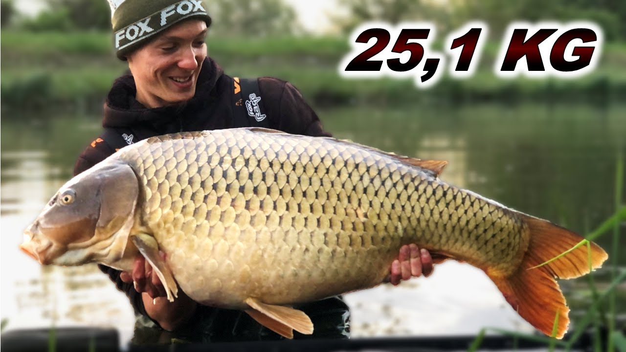 25 KG FELETT EGY CSATORNÁBÓL🤯🐳✅️ - Vadvízi óriások (2.rész)⚡️