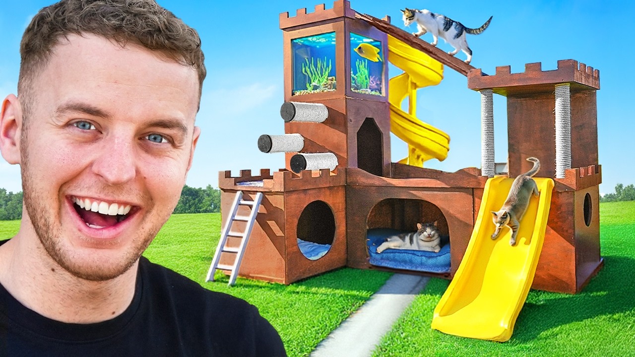Wij Bouwen Een €2000 Kattenkasteel!