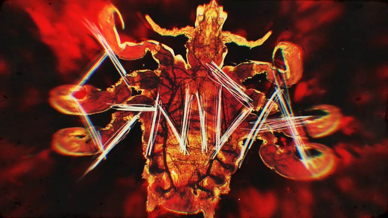 GNIDA - GNIDA (Official Lyric Video)