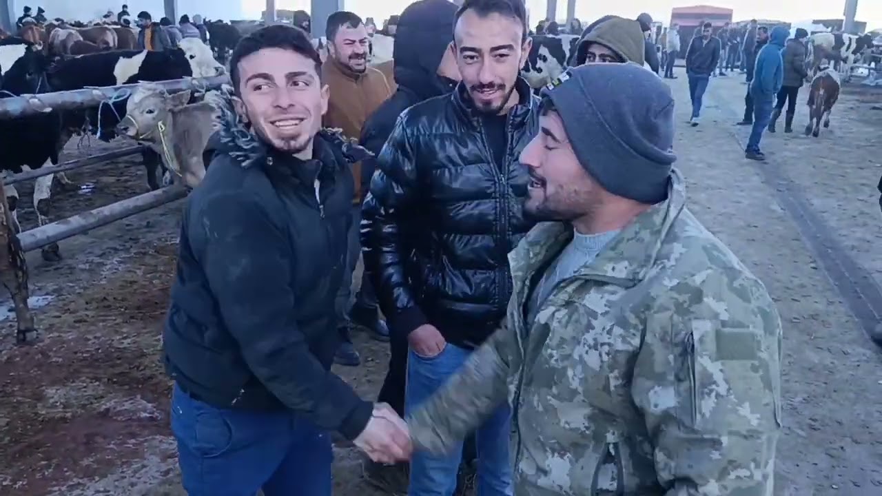 11 Mart NİĞDE CANLI HAYVAN PAZARI .!!! 2. bölüm alım-satım hak getire