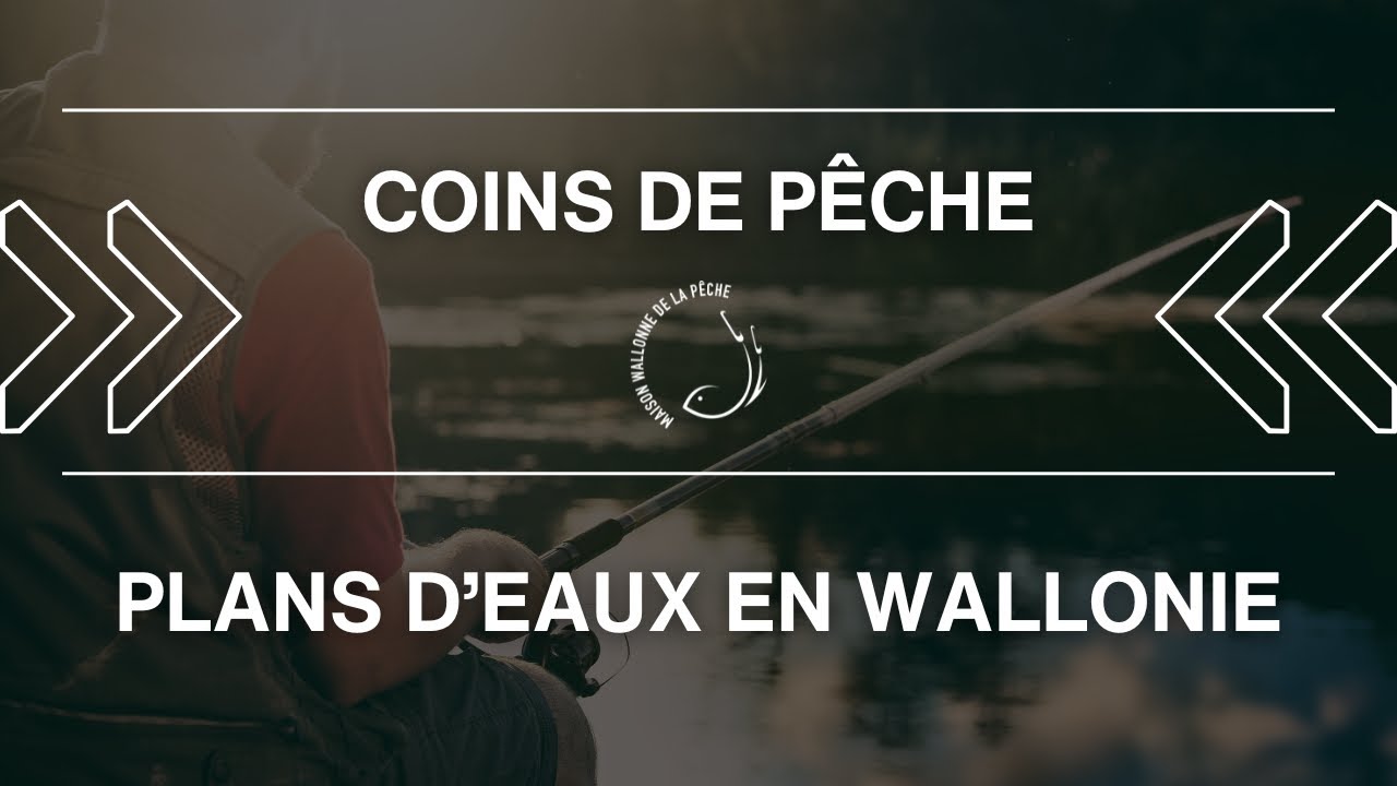 Coins de pêche : les plans d'eaux en Wallonie