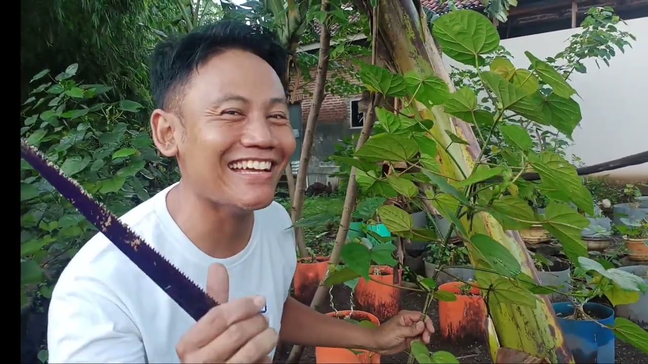 salam ahaaaiiiii