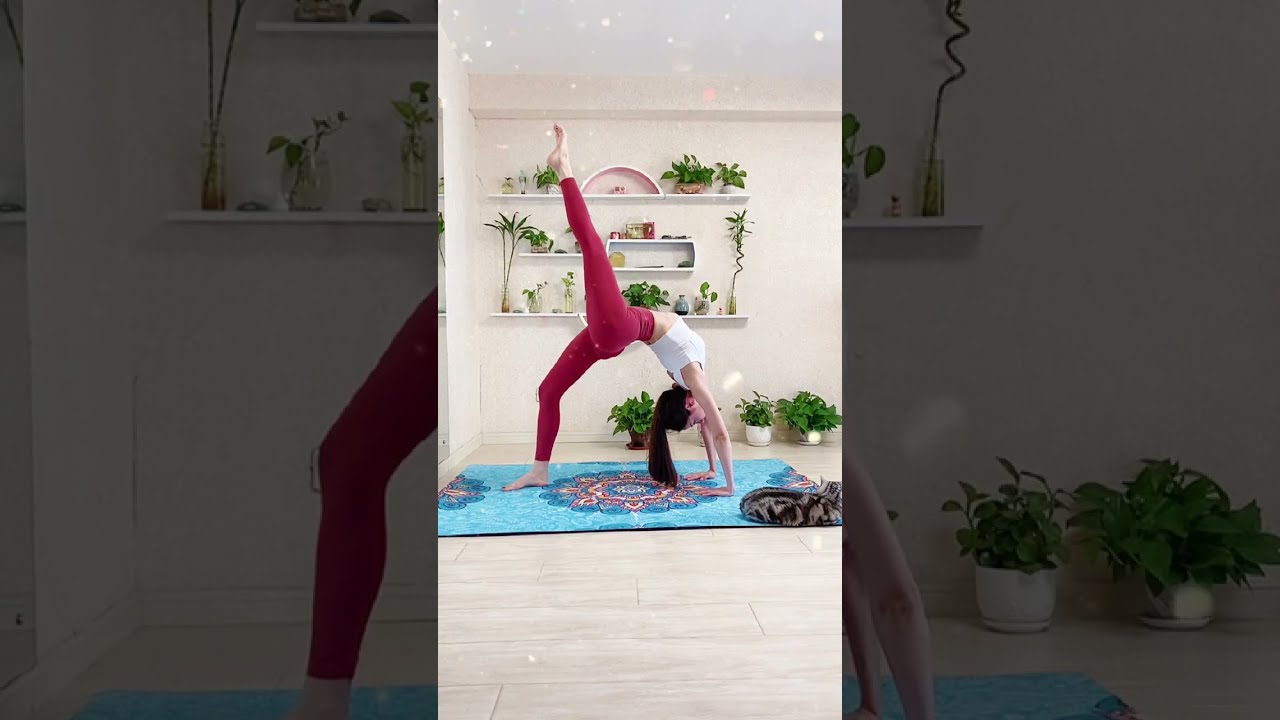 BASIC Yoga Practice 🧘 Easy Yoga Poses for Flexibility