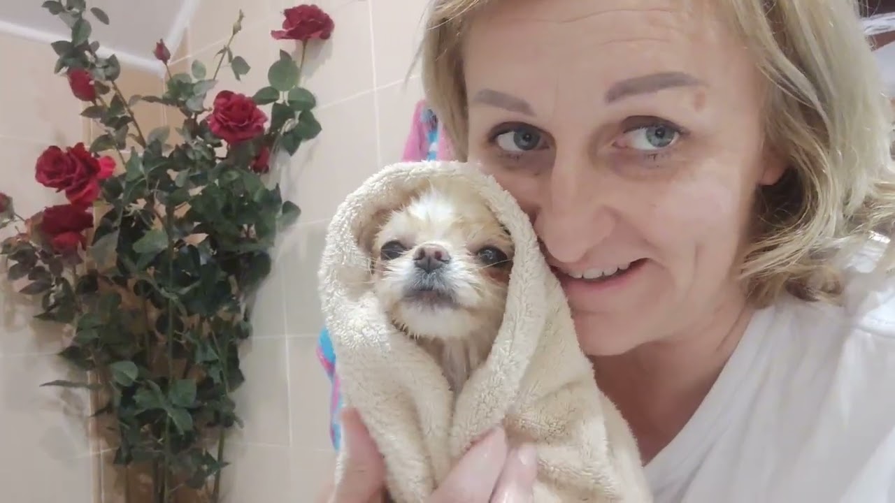 Такие мы замечательные 🥰🤗🐾 Продажа доставка по миру+79788972514