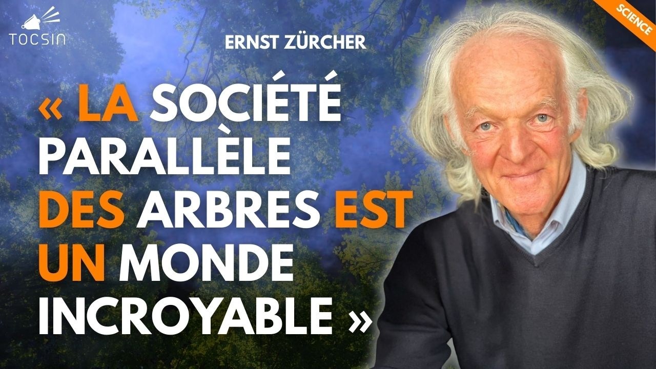 Les r&eacute;seaux cach&eacute;s des arbres expliqu&eacute;s par Ernst Z&uuml;rcher