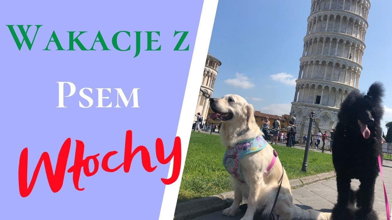 Wakacje z psem. Włochy