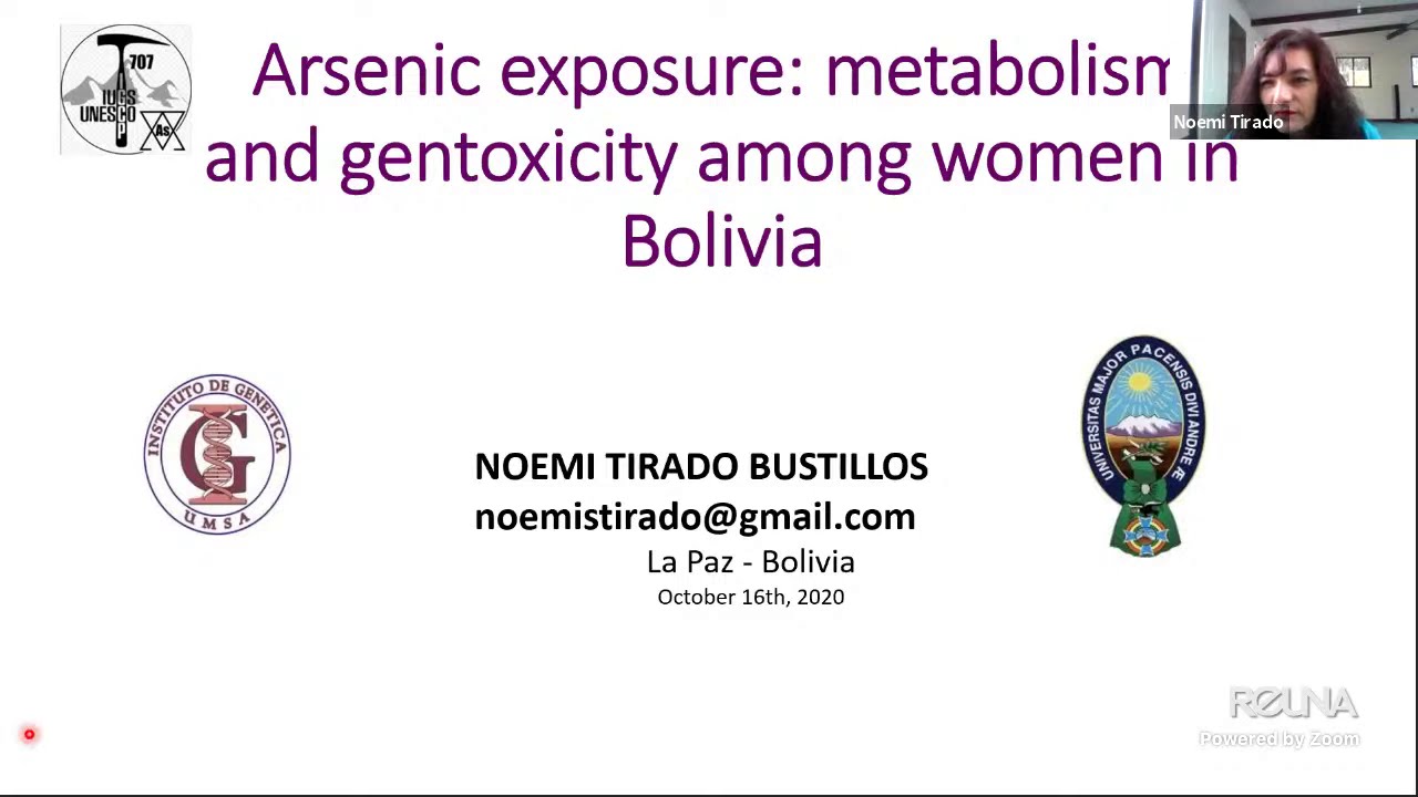 Arsenic exposure: elimination metabolism and genotoxicity among women in Bolivia