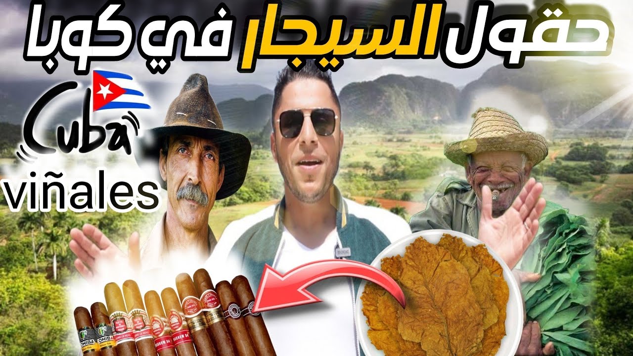 ذهبت إلى مكان صناعة السيجار في كوبا 🇨🇺 cuba / viñales 2024