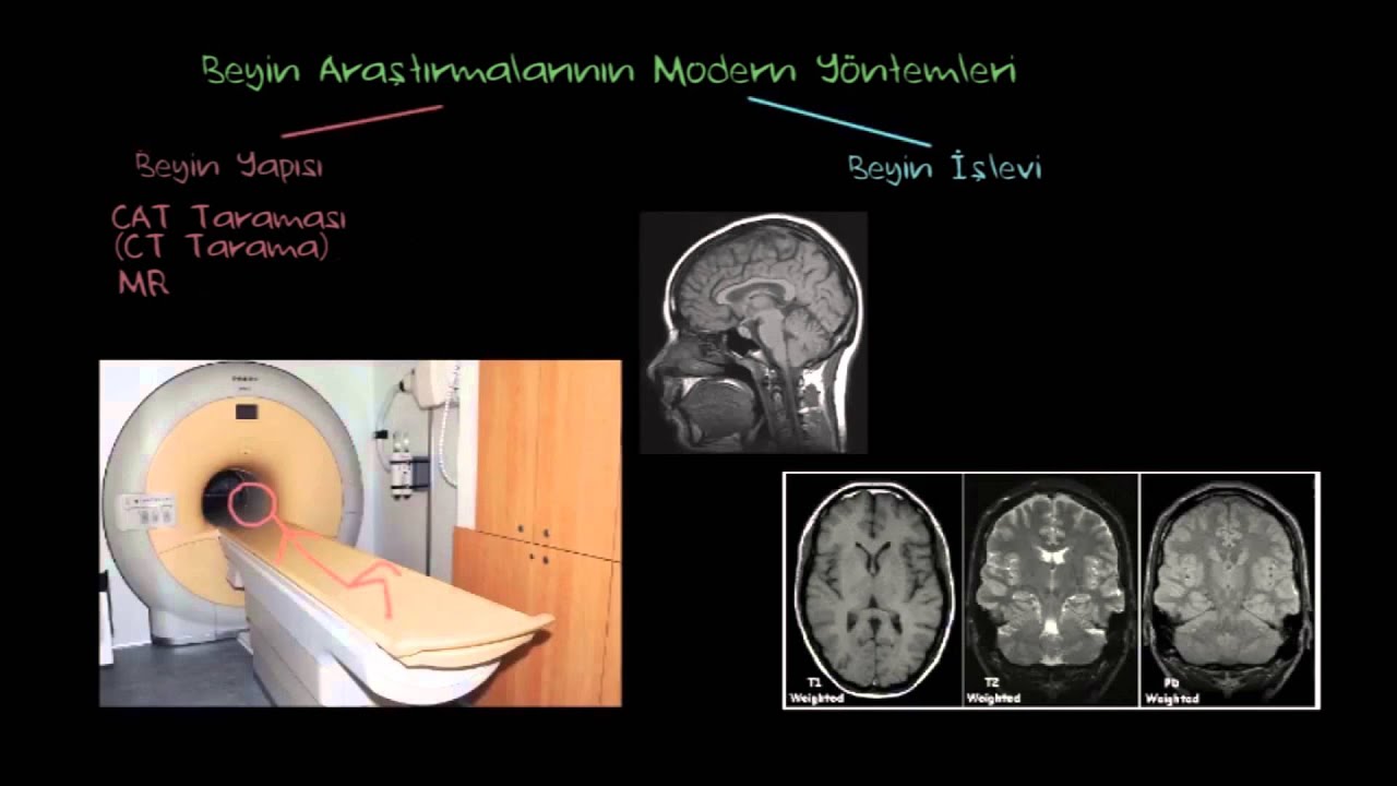 Beyin Araştırmalarının Modern Yöntemleri (Psikoloji / Davranış)