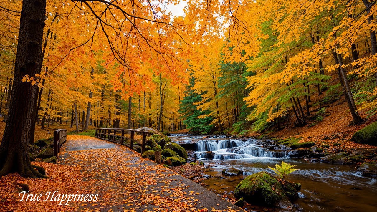 Beautiful Relaxing Music 🍁 Autumn Melodies to Stop Overthinking, Deep Calm and Stress Relief Today
