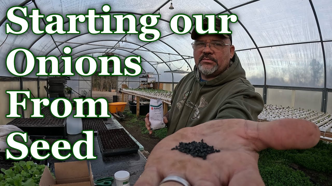 Starting Our 2026 Onions from seed! Seed starting multiple Onion varieties!