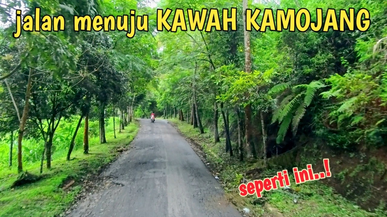 PERJALANAN MENUJU KAWAH KAMOJANG GARUT|sepanjang jalan pemandangan seperti ini