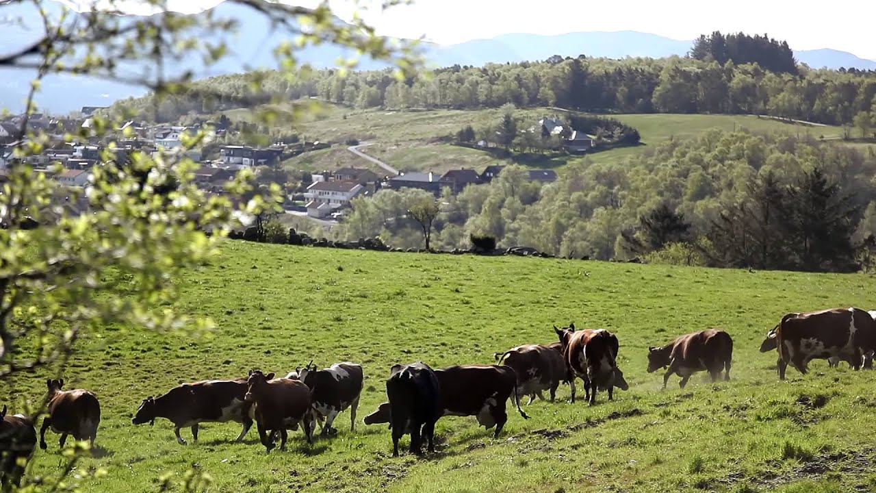 Stavanger S&oslash;rmarka 27 April 2014
