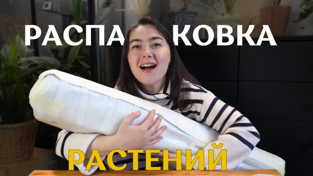 ОГРОМНОЕ растение из РАСПАКОВКИ | новые РАСТЕНИЯ из Таиланда и не только🌿