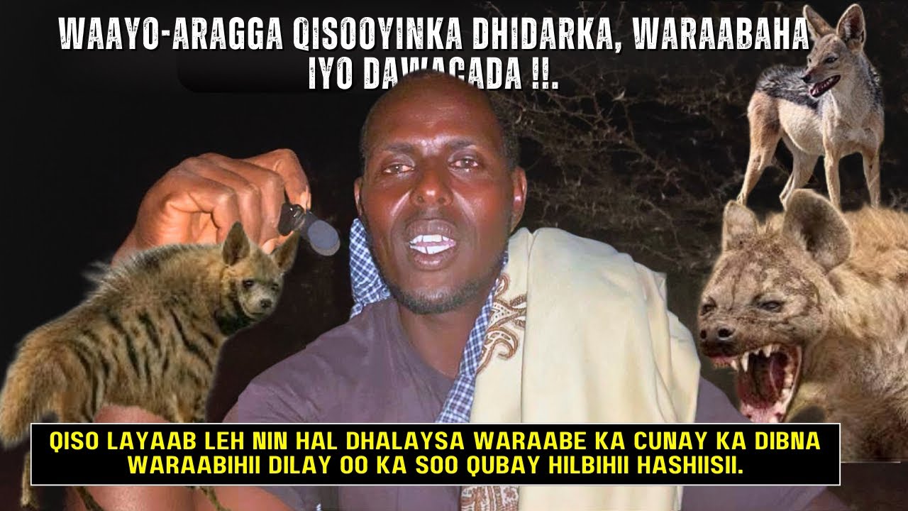 SHEEKOOYINKII DHIDARKA IYO WARAABAHA IYO XILLI CAWEYS AH DHALINYARO JAAWEYNEYSA.