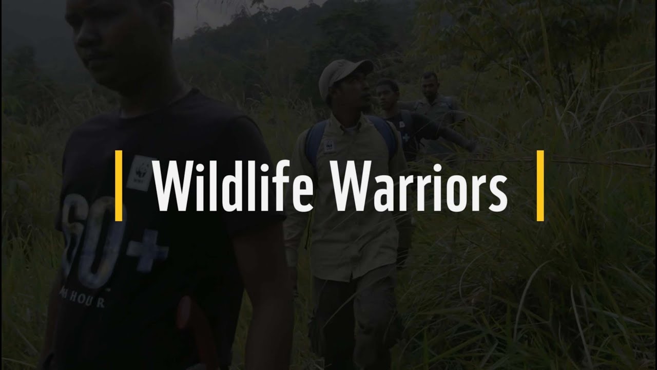 Wildlife Warriors