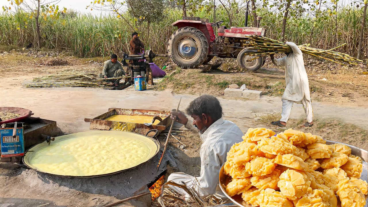 Let's Visit a Farmer's Sugar Factory | Process of Brown Sugar | Jaggery Making in Sugarcane Fields