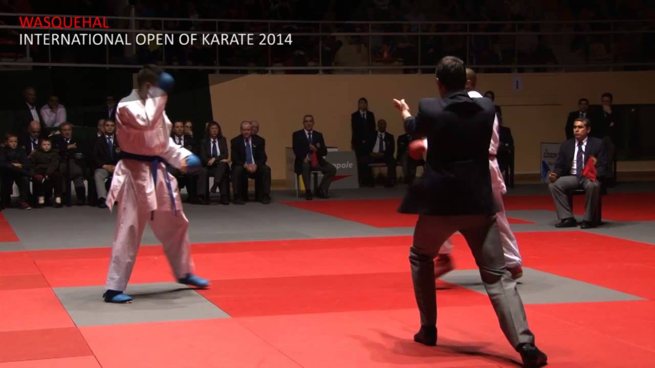 Final -78kg / Davy Dona VS Stanislav Horuna // Wasquehal International Open of Karate 2014