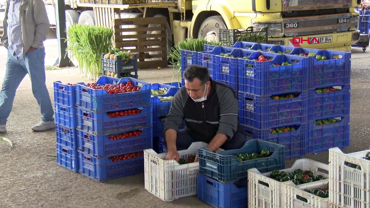 Antalya Toptancı Hali'nden ürünler günlük yola çıkıyor