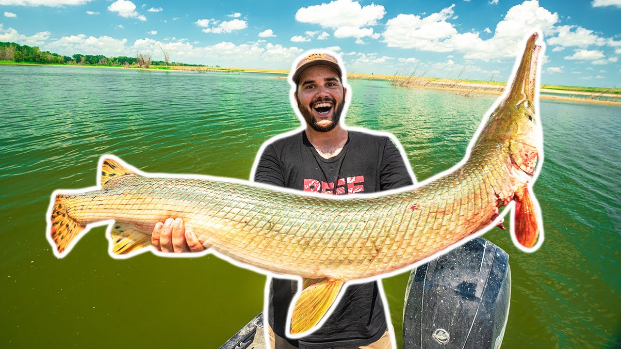 Bowfishing GIANT RIVER GAR Catch Clean Cook!!! (Lucky Shot)