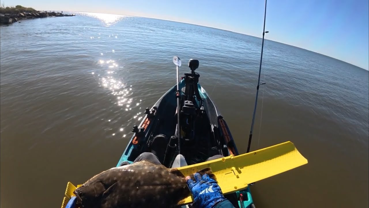 Why You Follow The Birds