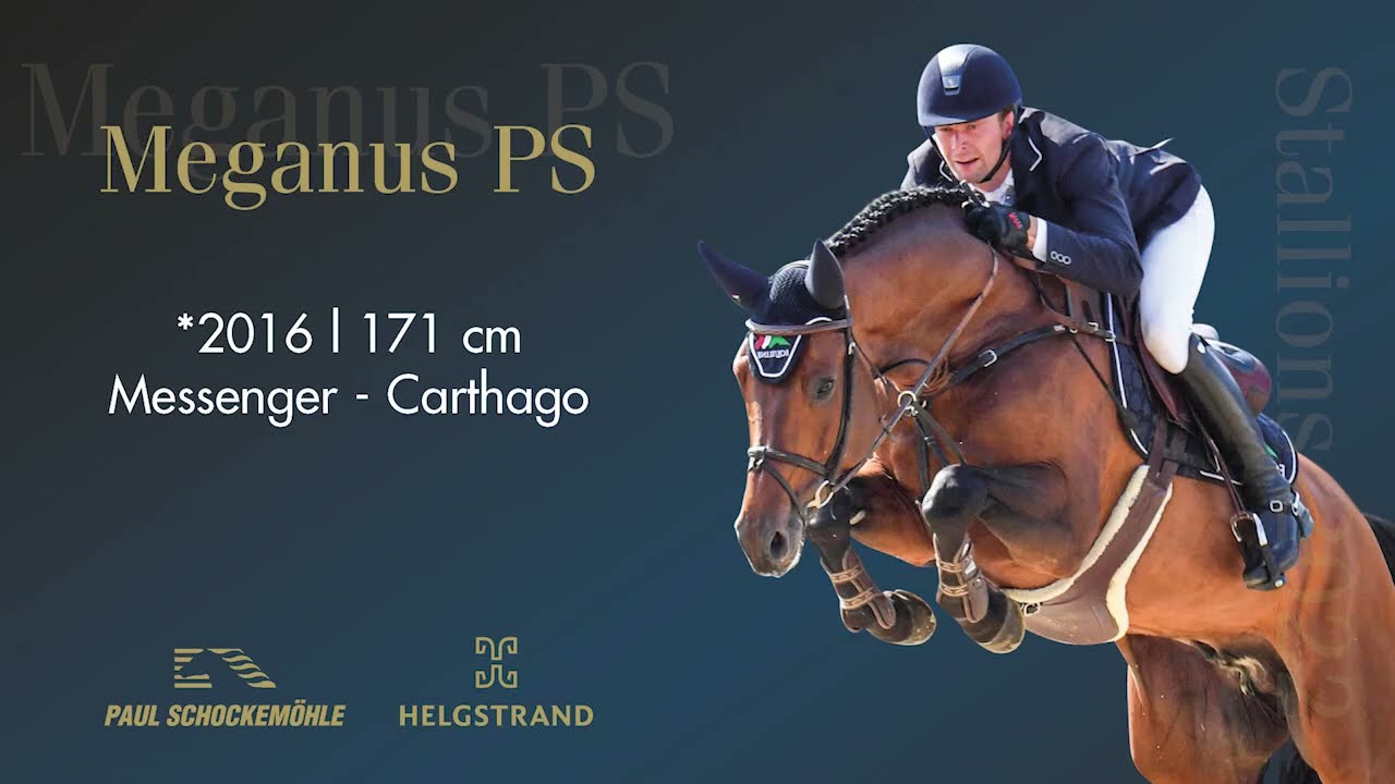 Meganus PS - Jumping Collection Schockemoehle & Helgstrand 2022 (ENG)