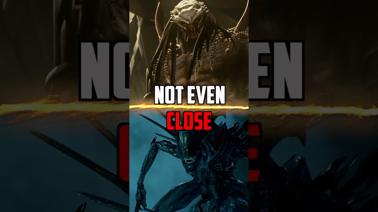 Predator King VS Xenomorph Queen - Who Wins?