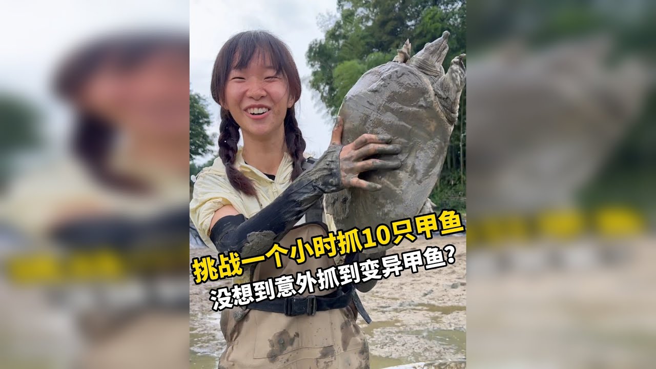挑战一个小时抓10只甲鱼，没想到还有惊喜