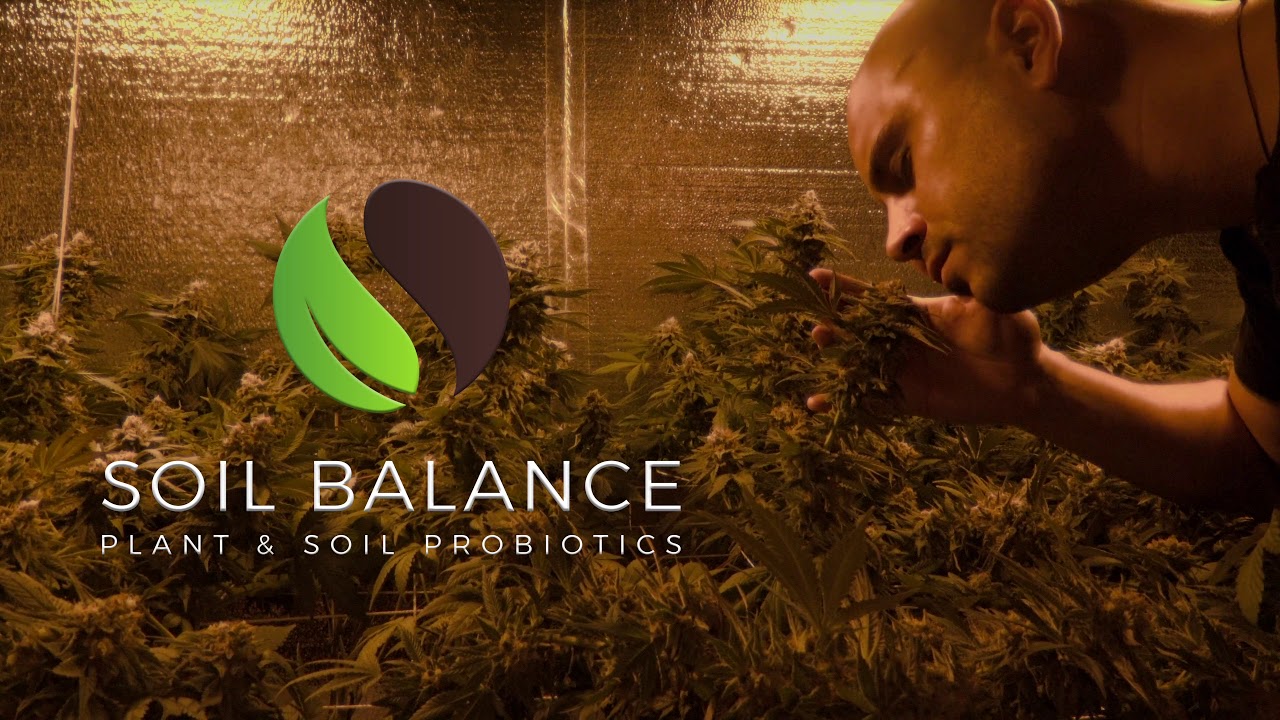 The future of quality - Soil Balance Pro - Vital Life Force