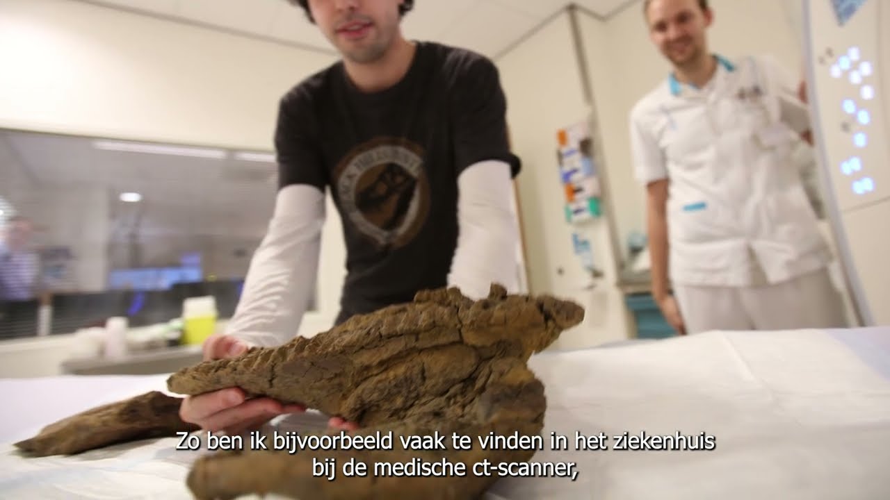 Triceratops TV - Ontmoet de expert: Jimmy De Rooij - kuddeonderzoek
