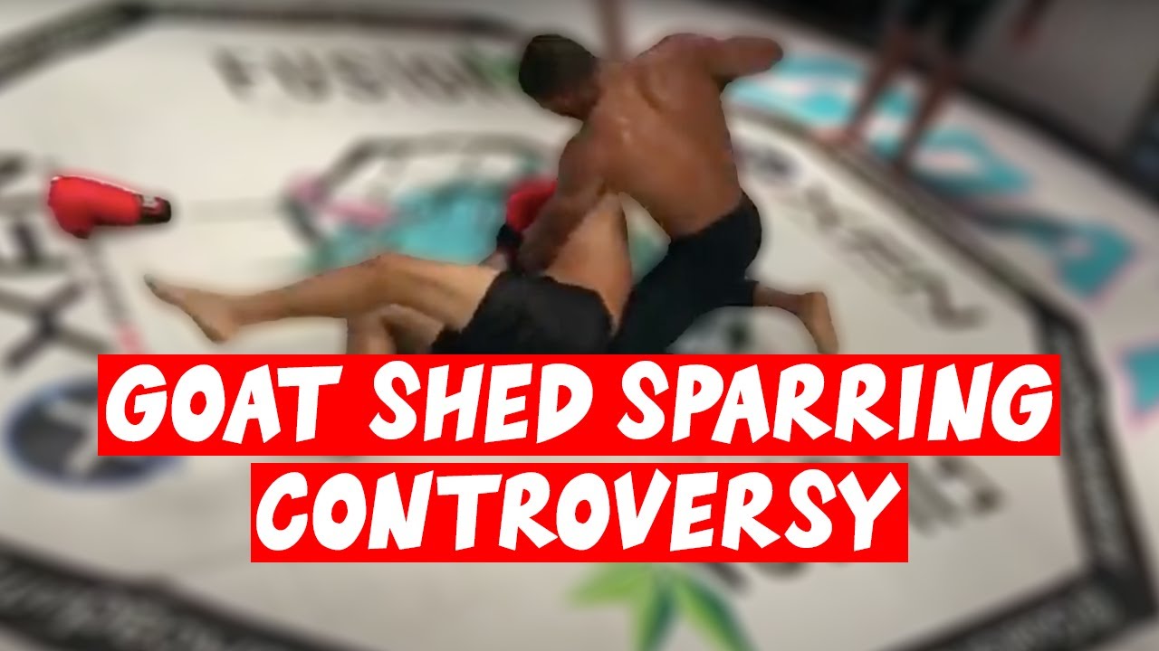Hard Sparring Controversy at GOAT Shed w/ Asim Zaidi
