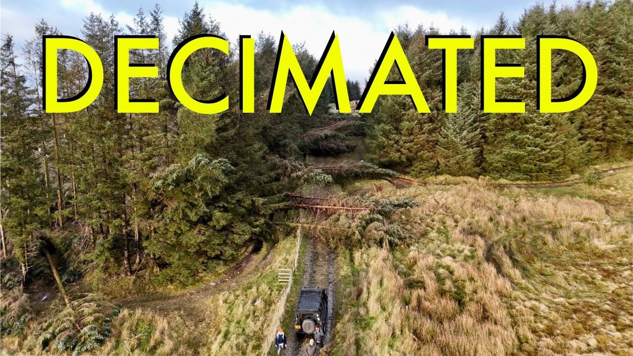Greenlaning Wales: Clearing Horseshoe (B*st*rd) and Bomber Lane after Storm Darragh