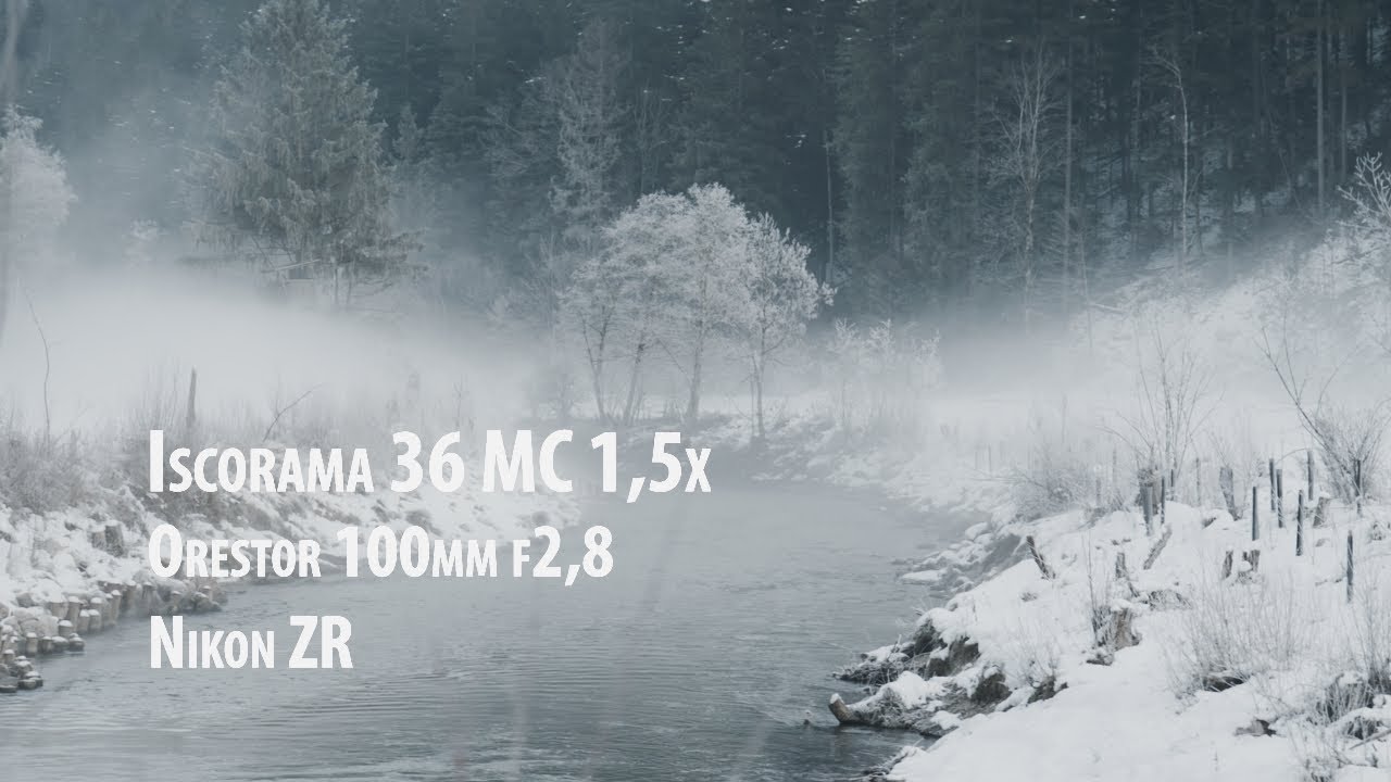 Escape the mist