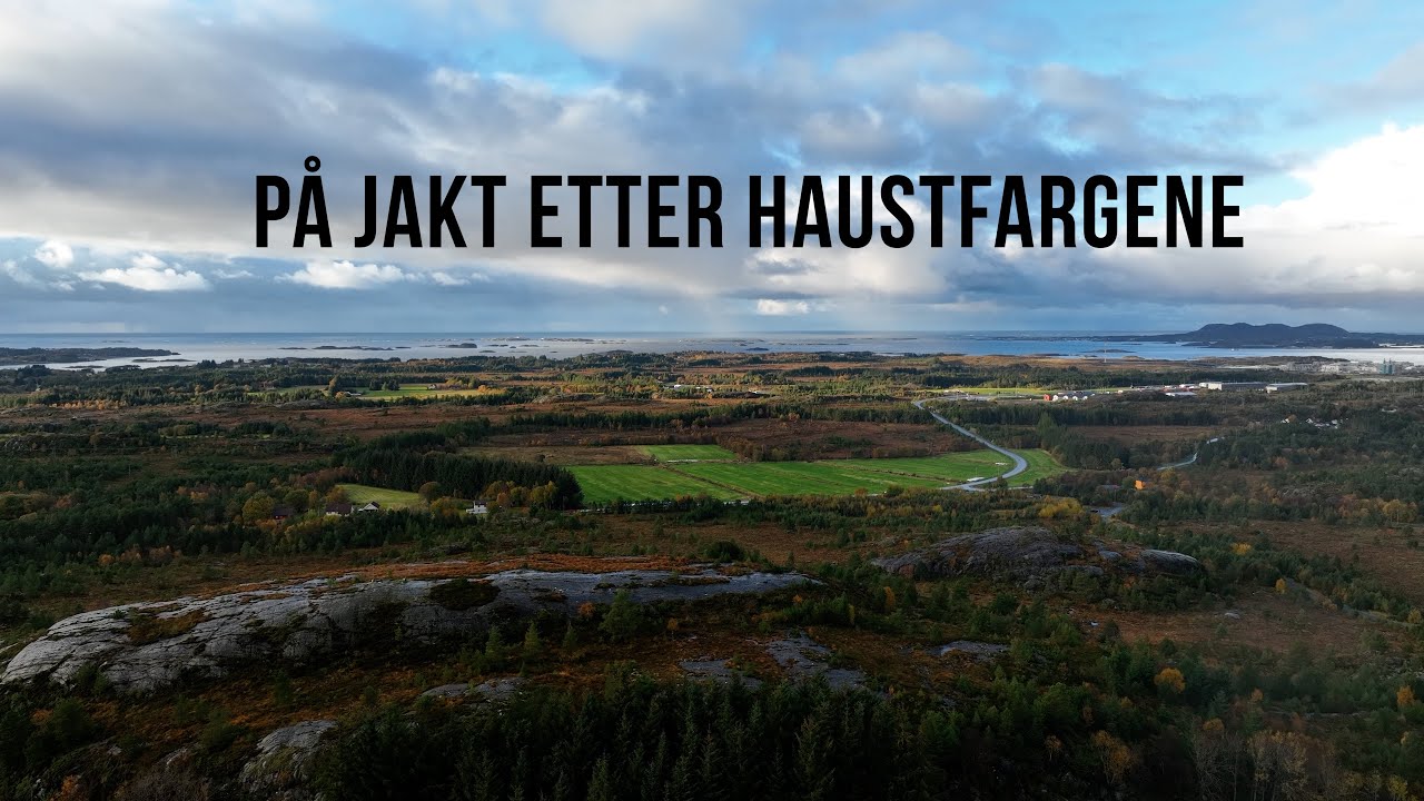 På jakt etter haustfargene