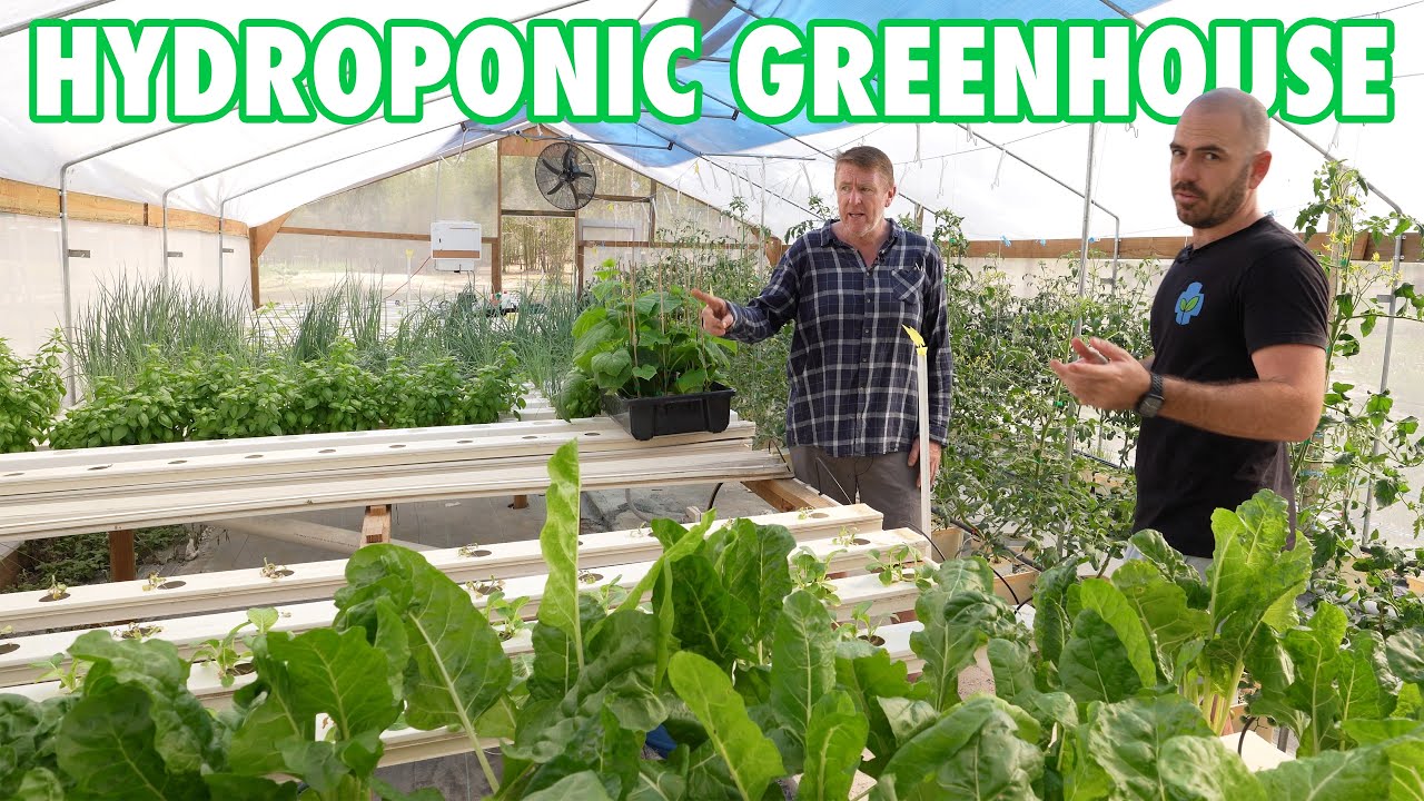 Independent Hydroponic Greenhouse Tour