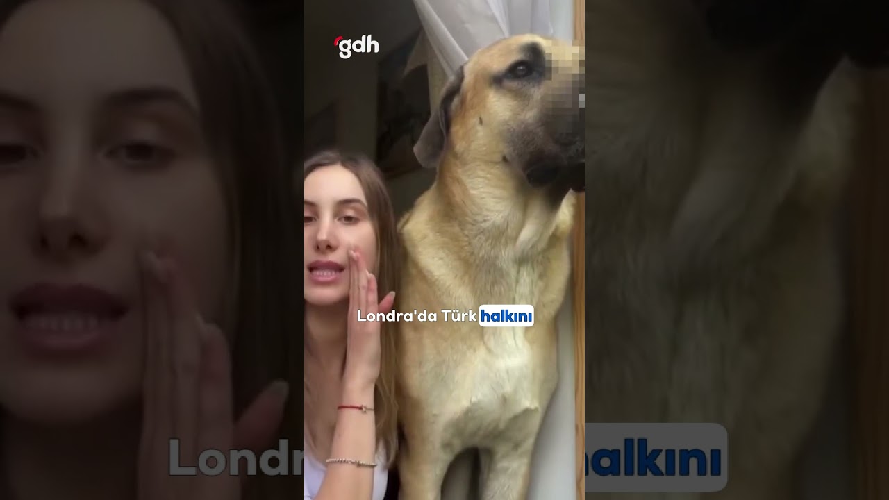 Sivas'tan Londra'ya giden Gurbet&ccedil;i Kangal