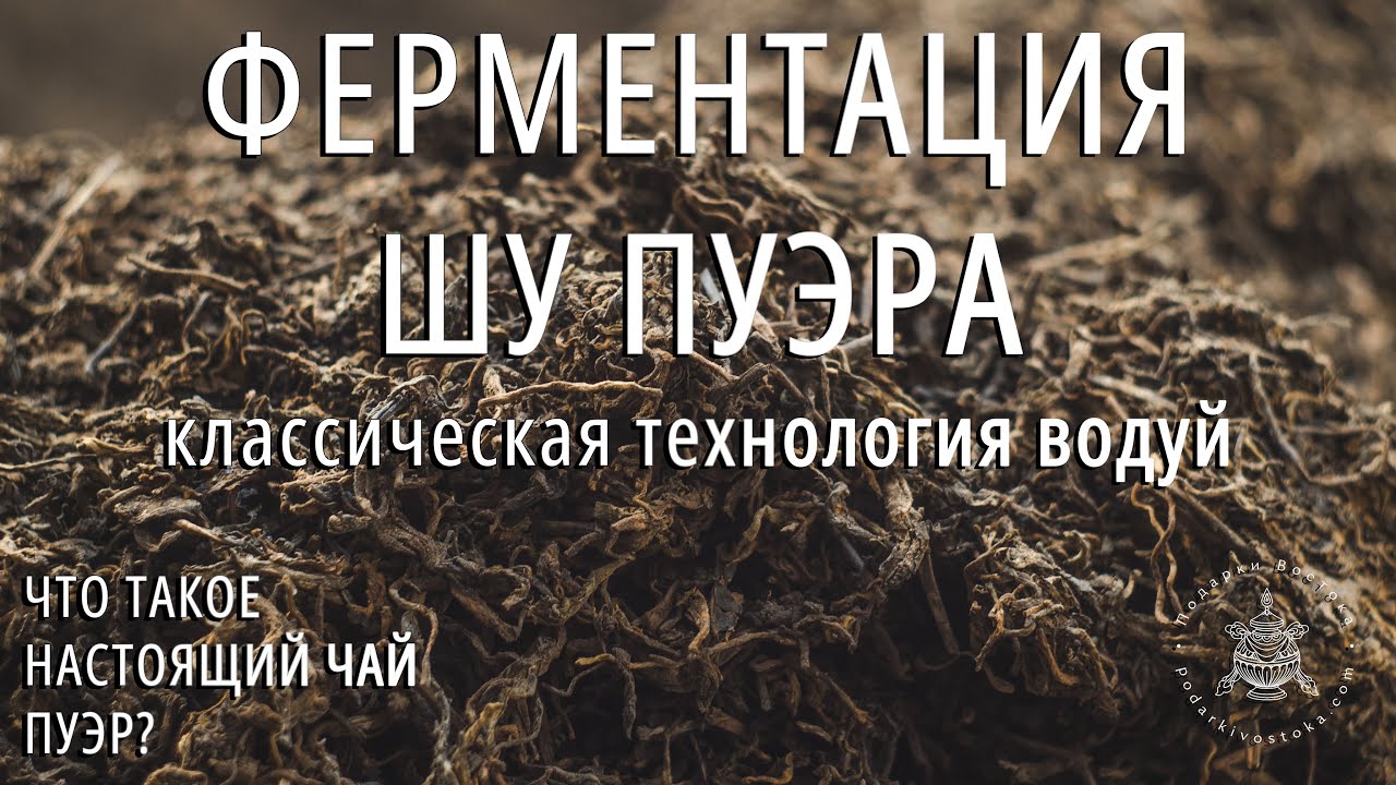 Что такое настоящий чай пуэр? Ч.4: Ферментация чая шу пуэр. Технология Во Дуй. Podarkivostoka.