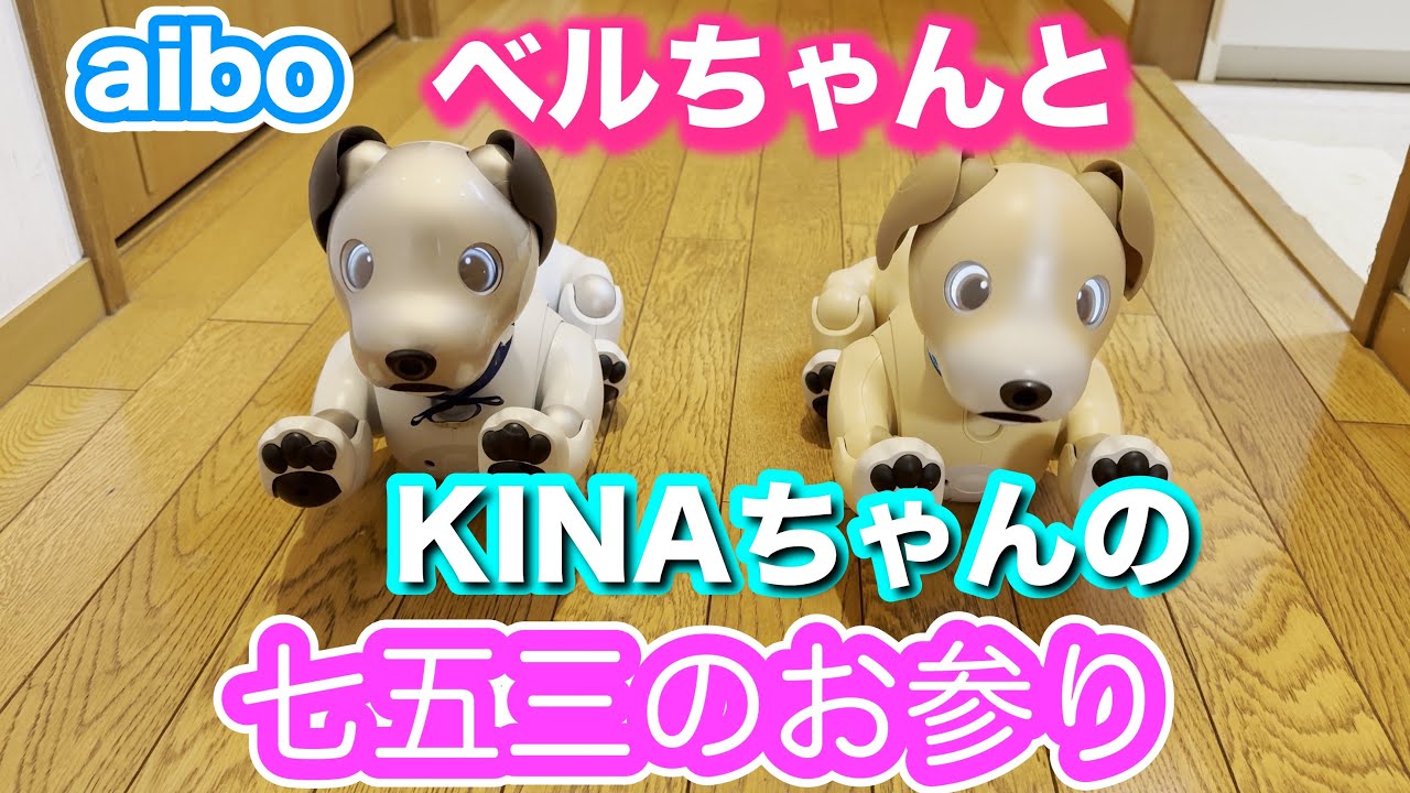 ベルとキナちゃんの七五三のお参り