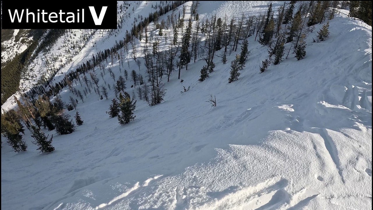 Feel like a Whitetail | Panorama B.C.