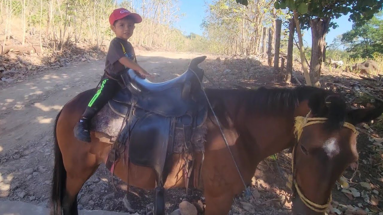 ASI NOS TRASLADA EL CABALLITO MIRE QUE BONITO ESTA LUCERO 😍