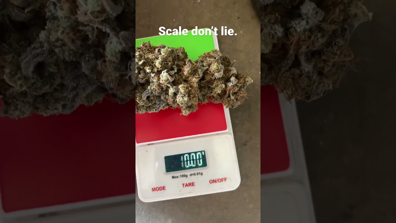 10g nug