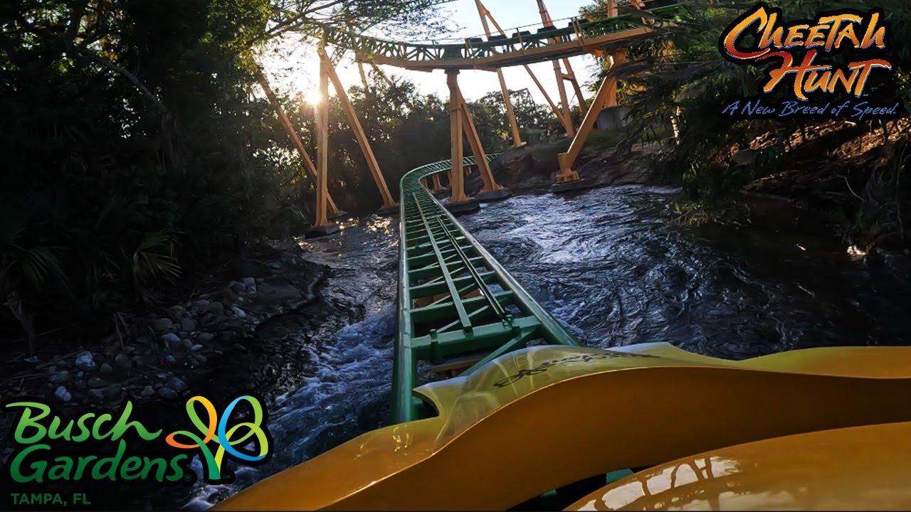 Cheetah Hunt 4K POV - Busch Gardens Tampa