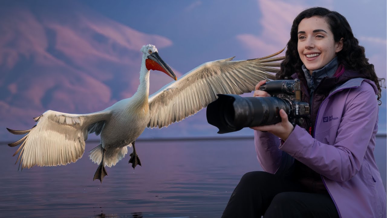 Filming Dalmatian Pelicans in Northern Greece: Behind the Scenes