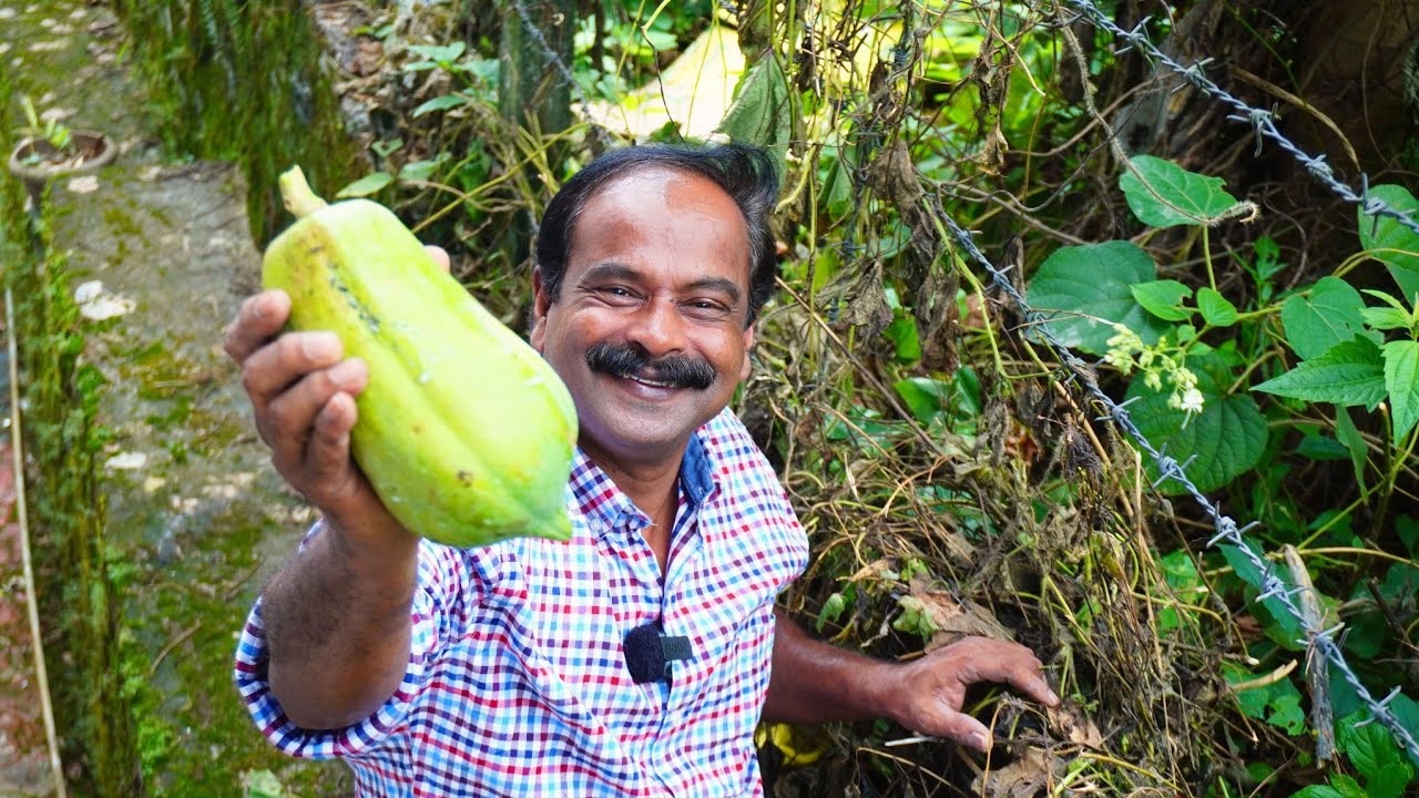 വേലിക്കൽ നിന്ന പപ്പായ കൊണ്ട് ചോറിനും ചപ്പാത്തിക്കും ഒരു super കറി 😋👌 | Papaya Curry | Keralastyle 