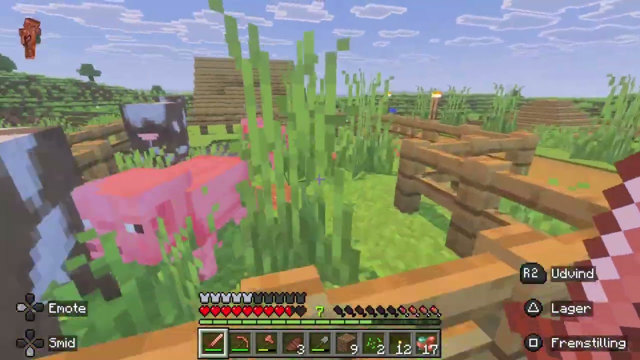 I play Minecraft